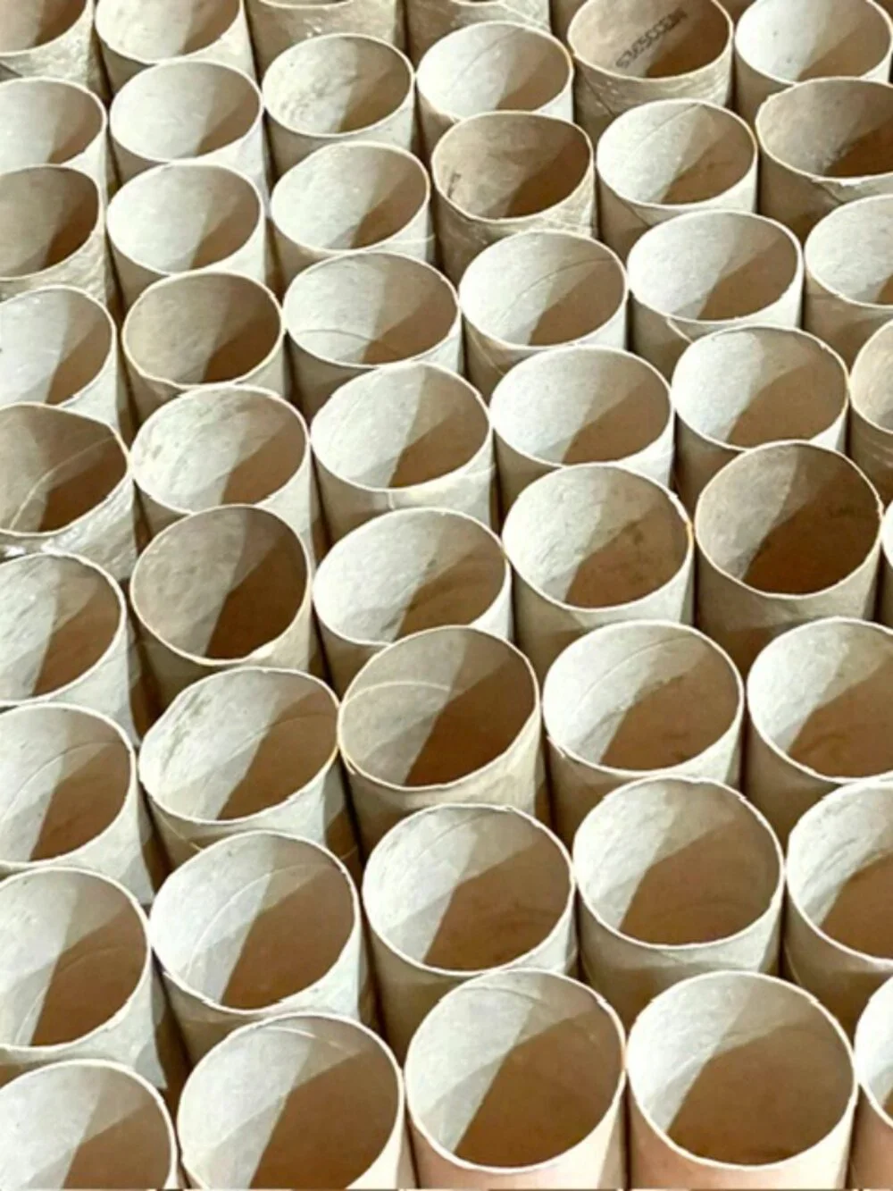 100 Toilet Paper Empty Rolls Cardboard Tubes Craft Art Project School Kid